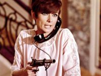 Как украсть миллион (1966)