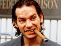 Фатальный инстинкт (1993)