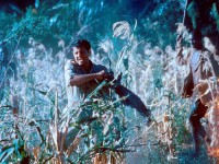 Нигде в Африке (2001)