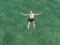 Загар (2016)