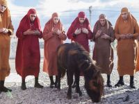 Джеки в царстве женщин (2013)